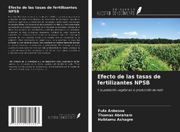 Efecto de las tasas de fertilizantes NPSB