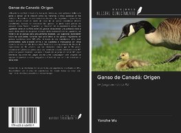 Ganso de Canadá: Origen