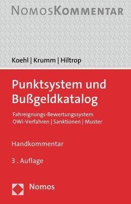 Punktsystem und Bußgeldkatalog