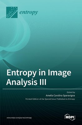 Entropy in Image Analysis III