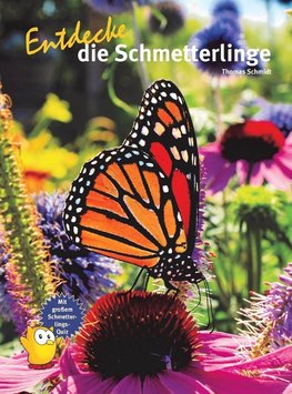 Entdecke die Schmetterlinge