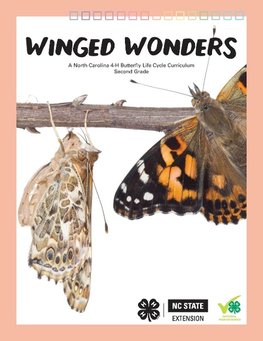 Winged Wonders