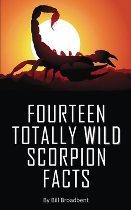 FOURTEEN TOTALLY WILD SCORPION FACTS