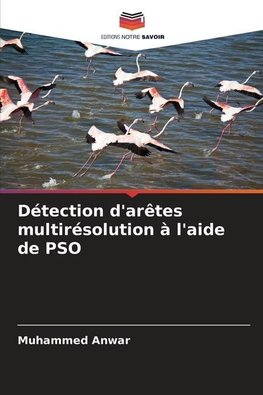 Détection d'arêtes multirésolution à l'aide de PSO