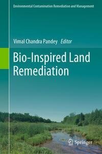 Bio-Inspired Land Remediation