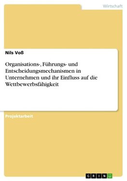 Organisations-, Führungs- und Entscheidungsmechanismen in Unternehmen und ihr Einfluss auf die Wettbewerbsfähigkeit