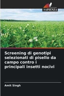 Screening di genotipi selezionati di pisello da campo contro i principali insetti nocivi