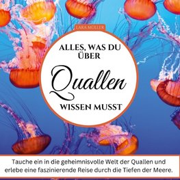 Alles, was du über Quallen wissen musst