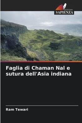 Faglia di Chaman Nal e sutura dell'Asia indiana