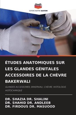 ÉTUDES ANATOMIQUES SUR LES GLANDES GÉNITALES ACCESSOIRES DE LA CHÈVRE BAKERWALI