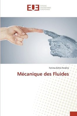 Mécanique des Fluides