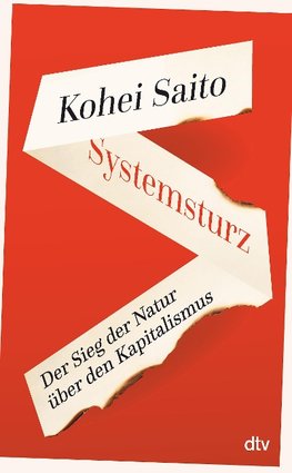 Systemsturz