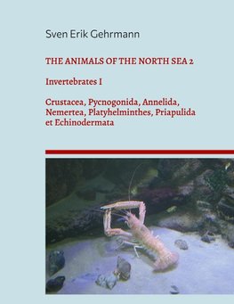 THE ANIMALS OF THE NORTH SEA 2