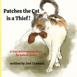 Patches The Cat is a Thief !