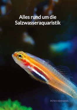 Alles rund um die Salzwasseraquaristik