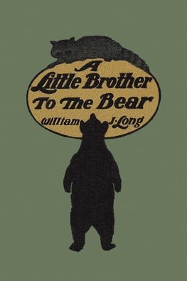 A Little Brother to the Bear