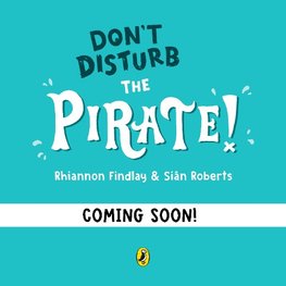 Don't Disturb The Pirate