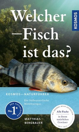 Welcher Fisch ist das?