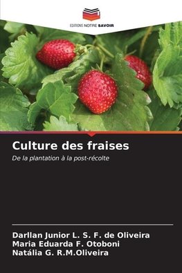 Culture des fraises