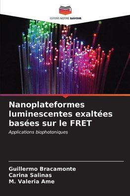 Nanoplateformes luminescentes exaltées basées sur le FRET