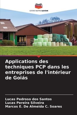 Applications des techniques PCP dans les entreprises de l'intérieur de Goiás