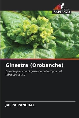 Ginestra (Orobanche)