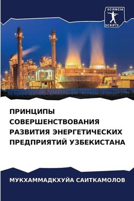 PRINCIPY SOVERShENSTVOVANIYa RAZVITIYa JeNERGETIChESKIH PREDPRIYaTIJ UZBEKISTANA