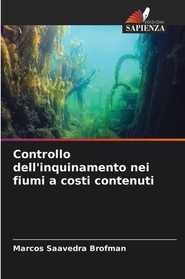 Controllo dell'inquinamento nei fiumi a costi contenuti