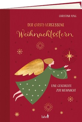 Der fast vergessene Weihnachtsstern