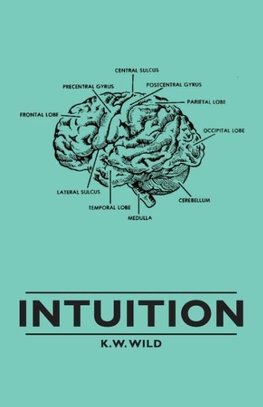 Intuition