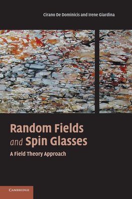 Random Fields and Spin Glasses