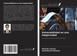 Vulnerabilidad en una megaciudad