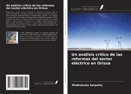 Un análisis crítico de las reformas del sector eléctrico en Orissa