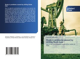 Study in problems caused by drilling fluids loss