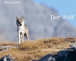 Der Wolf