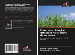 Fissazione biologica dell'azoto nella canna da zucchero