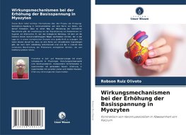 Wirkungsmechanismen bei der Erhöhung der Basisspannung in Myozyten