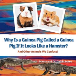 Why Is a Guinea Pig Called a Guinea Pig If It Looks Like a Hamster?