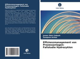 Effizienzmanagement von Prozessanlagen: Fallstudie Hydrozyklon