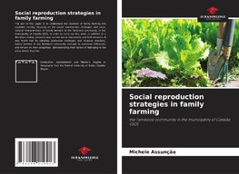 Social reproduction strategies in family farming