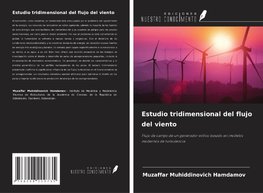 Estudio tridimensional del flujo del viento