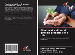 Piantine di cultivar di girasole prodotte con i rifiuti