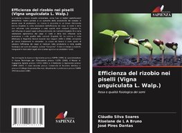 Efficienza del rizobio nei piselli (Vigna unguiculata L. Walp.)