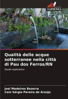 Qualità delle acque sotterranee nella città di Pau dos Ferros/RN