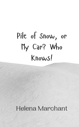 Pile of Snow, or My Car? Who Knows!