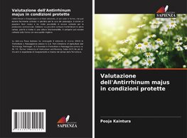 Valutazione dell'Antirrhinum majus in condizioni protette