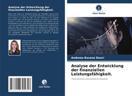 Analyse der Entwicklung der finanziellen Leistungsfähigkeit.