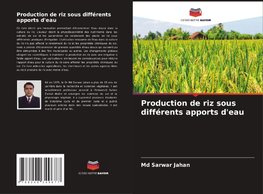 Production de riz sous différents apports d'eau