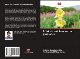 Effet du calcium sur le gladiolus