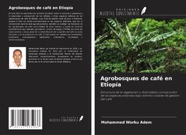 Agrobosques de café en Etiopía